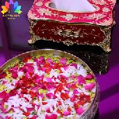 best therapist in bangalore